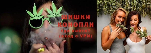 прущие грибы Алексеевка