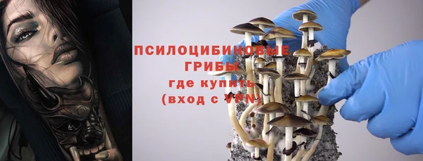 бошки Пролетарск