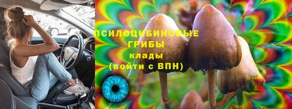 герыч Алексин