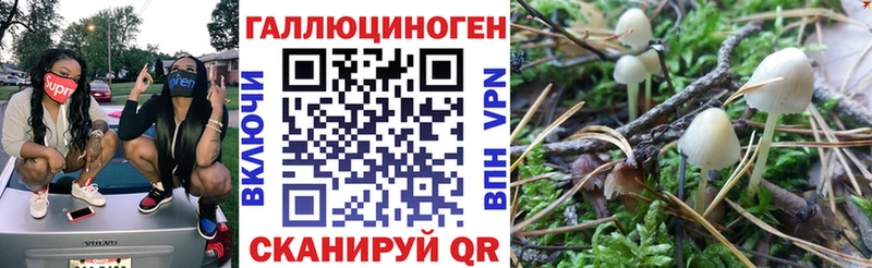 Псилоцибиновые грибы MAGIC MUSHROOMS  Рыбное 
